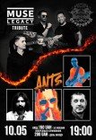 Muse Legacy Tribute и The Ants