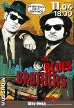 Концерт «The Blues Brothers»