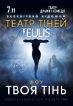 Театр Тіней TEULIS. Шоу "Твоя тінь"